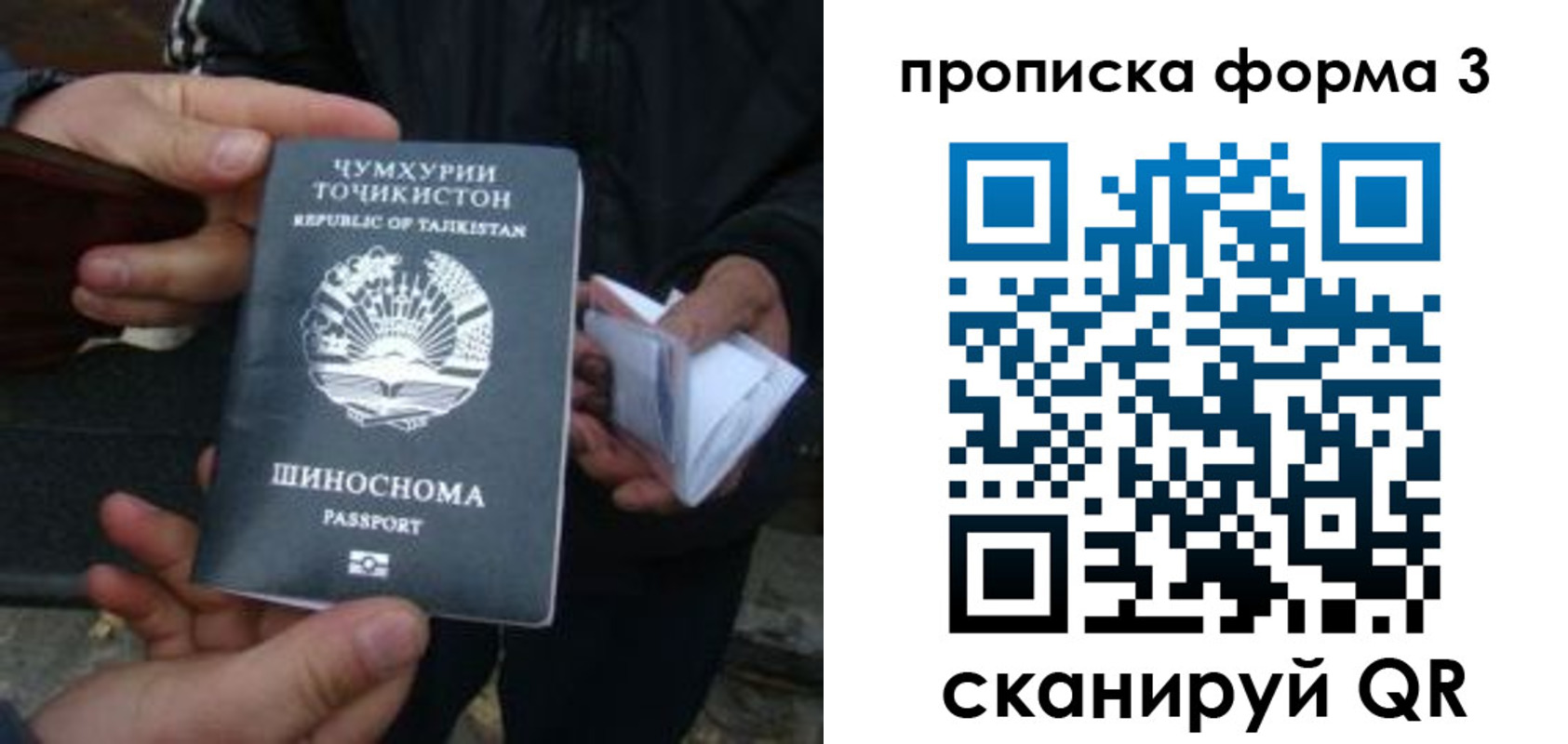 прописка 2025 в Волгореченске